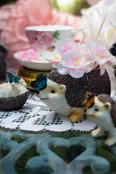 St James Tearoom Albuquerque - Boutique Giftshop - Hedgehog Planters