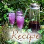 Tropical-Arnold-Palmer-Recipe-with-Indigo-Lagoon-Color-Changing-Tea.