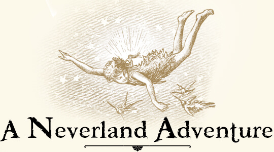 A Neverland Adventure